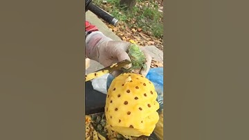 how to peel pineapple