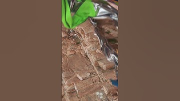 Houdini | Vellum Cloth | RnD