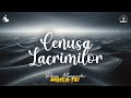 Pacea mesagerilor  cenusa lacrimilor  album ridicate muzicacrestina clip cu versuri