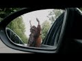 Capture de la vidéo Le Vibe - Sur La Grand-Route (Official Music Video)