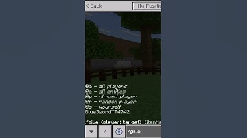 How to Use Minecraft Commands: /Give Command to Get ANY ITEM in the Game #shorts  #minecraftfans