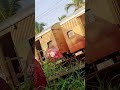 ഈ കിളിയുടെ പേര് എന്താണ് ഓരോ നാട്ടിലുള്ള ആൾക്കാരും കമന്റ് ചെയ്യുക ❤️