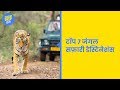 ScoopWhoop हिंदी: इंडिया के टॉप 7 जंगल सफ़ारी डेस्टिनेशंस
