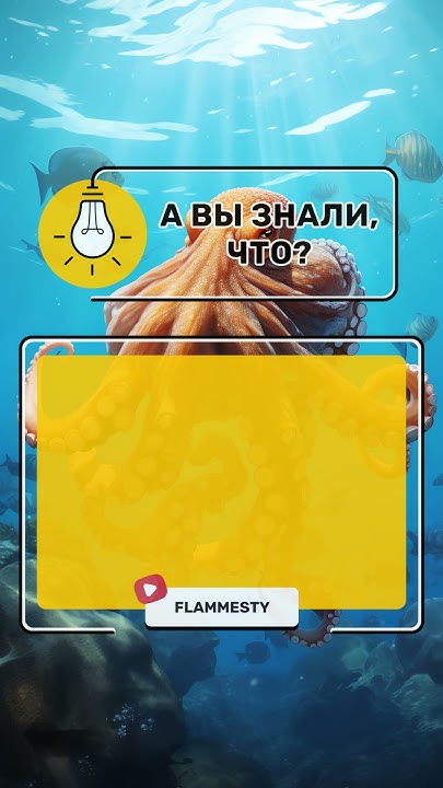 Гигантский осьминог: инопланетянин из глубин океана - YouTube