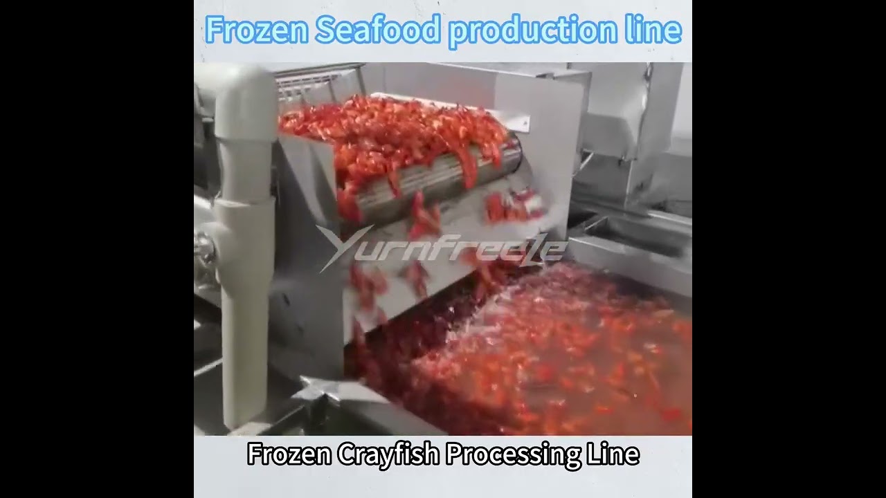 Lobster freezing processing line