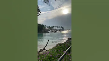 كل اللي معاك في الصوره غاب 