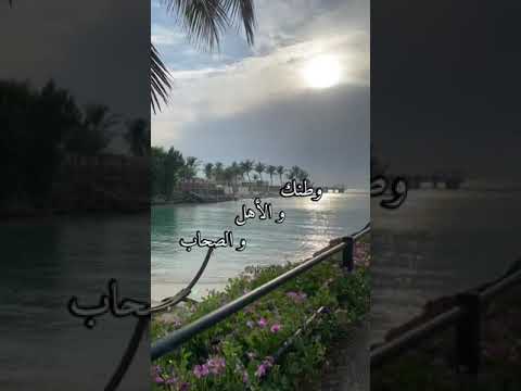 كل اللي معاك في الصوره غاب