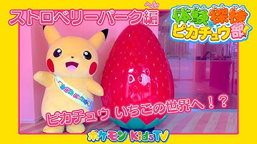 【ポケモン公式】体験探検ピカチュウ部！「ストロベリーのテーマパーク編」－ポケモン Kids TV