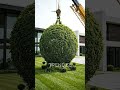 A moon for Your Home #goviral #uk #gardenart #reels #usa