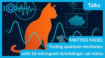 MATTEO FADEL: Testing quantum mechanics with 16-microgram Schrödinger cat states