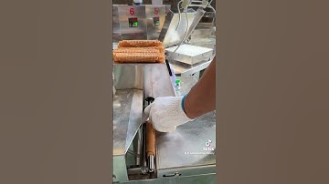 Automatic eggroll maker/automatic wafer rolling machine/rolled wafer maker