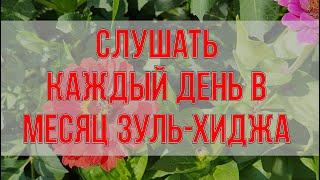 СБОРНИК СУР - СЛУШАТЬ КАЖДЫЙ ДЕНЬ В ЗУЛЬ-ХИДЖА