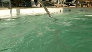 BEST POOLS in Atlantic City!?! Perhaps! The Water Club at Borgata #tour #travel