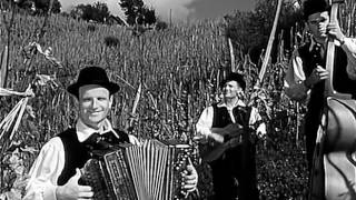 Ansambel Lojzeta Slaka Sem Ter Tja