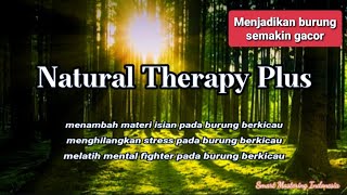 Smart Mastering - Natural Therapy Plus