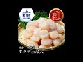 【ふるさと納税】14 22 オホーツク産ホタテ玉冷大1kg｜ホタテ ほたて 帆立 貝柱 貝 冷凍 1kg 1000g 特大 大粒 大玉 大きい 刺身 バター焼き 魚介類 魚介 海鮮 海鮮食品 グルメ
