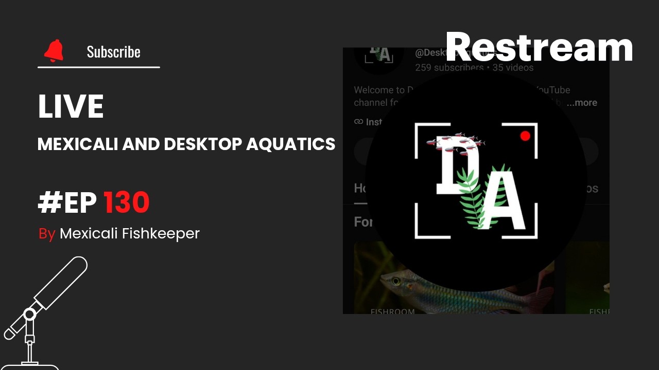 Ep 128 Mexicali and Desktop Aquatics