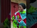 Nadama 2 