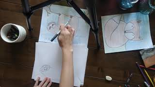 4th Grade-Lesson 9-Sloth