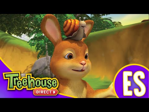 Franklin Y Sus Amigos El Correo Tortuga La Persecución Se La Tarjeta Ep 38 Dibujos Animados 