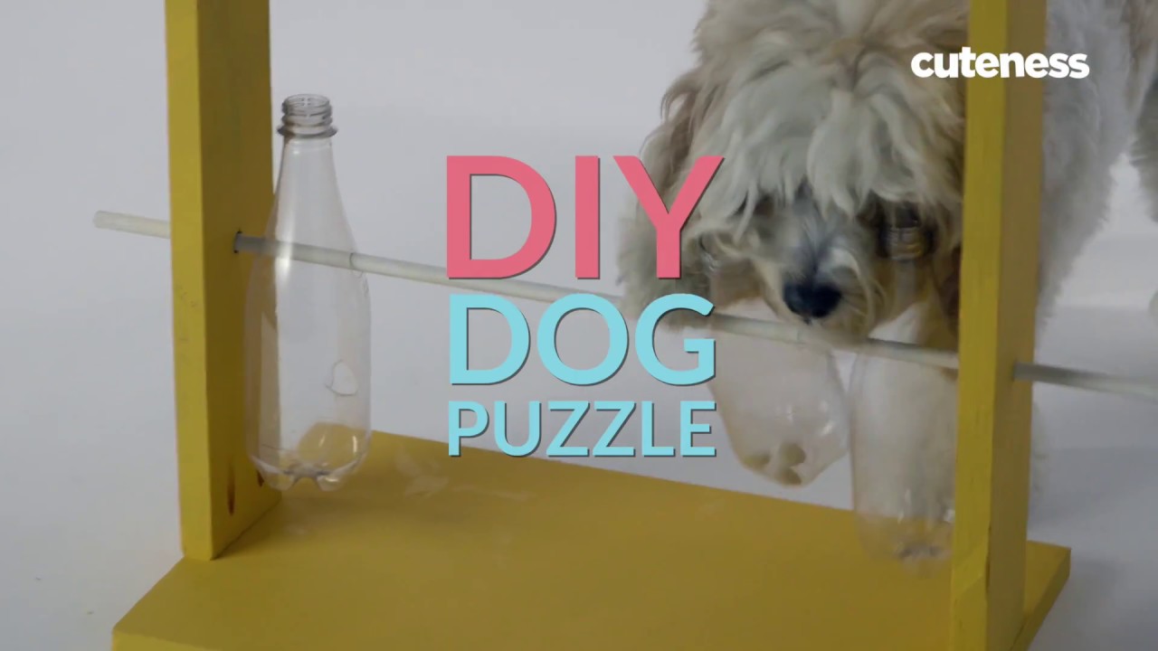 DIY Dog Puzzle: Takes Less Than 5 Minutes To Make!