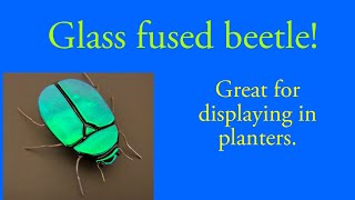 Glass fused beetle display.