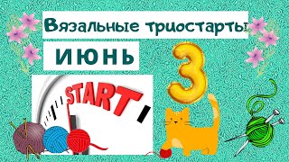 Котики спицами из софти. Начало вязального процесса.