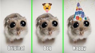 Sad Hamster Original vs Dog vs Happy