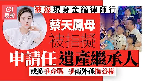 蔡天凤案 | 蔡母拟争两外孙抚养权　申请任遗产管理人或掀争产战｜蔡天凤｜Abby Choi｜五姐｜律师楼 - 天天要闻