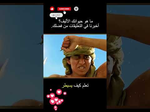 ذلك الأسد الذي صار صديق ا ثم رحل دون أن يقول وداع ا سراويل