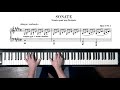 Beethoven “Moonlight Sonata” 1st mov. Paul Barton, FEURICH piano