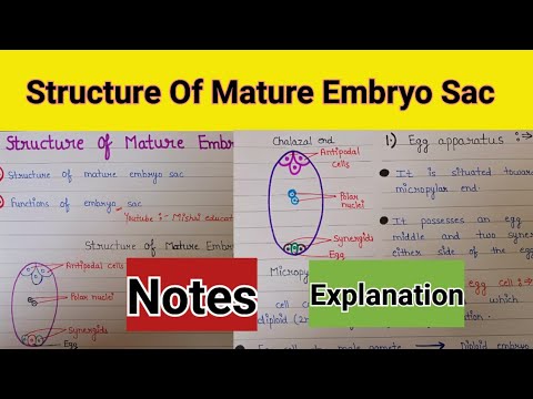 Structure of mature