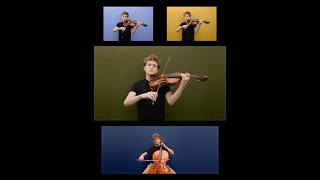 Zelda: A Link to the Past opening (Time of the Falling Rain) viola/cello cover