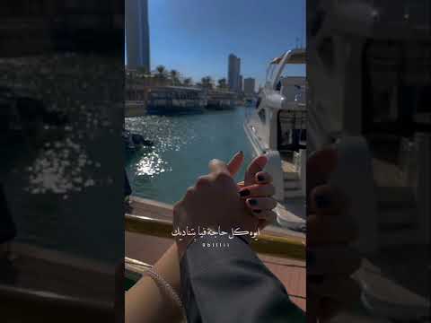 عمرو دياب الليلادي