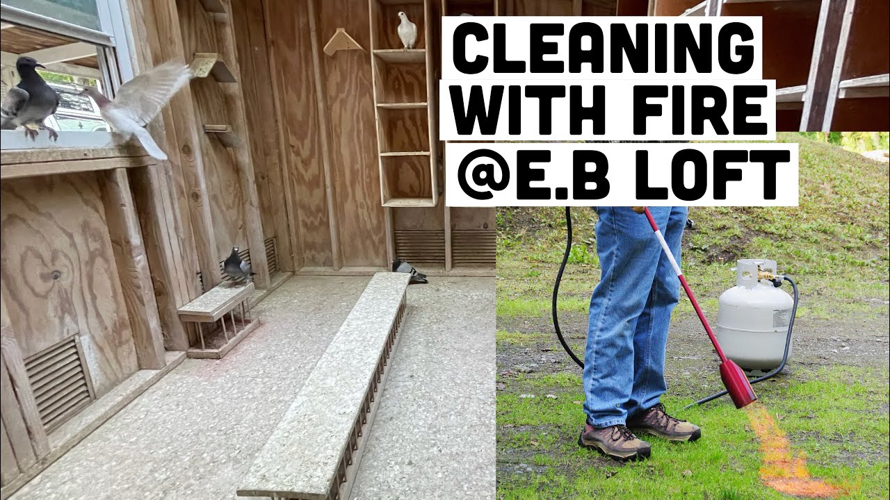 My loft cleaning routine YouTube