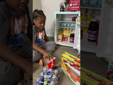 “Mini” Fridge Organization