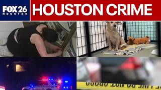 Astros burglar, on-camera act, dog hoarding, and more | Crime in Houston
