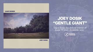 Video thumbnail of "Joey Dosik - Gentle Giant (Official Audio)"