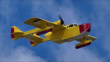 Flite Test FT Sea Duck