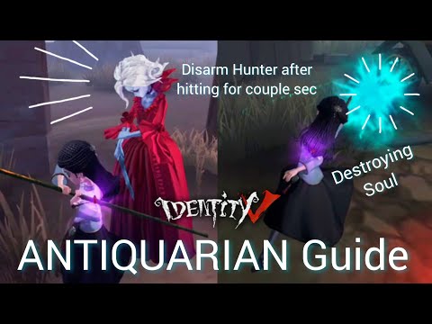 ANTIQUARIAN GUIDE & ALL TEST IDENTITY V NEW SURVIVOR TOO OP OR NO?