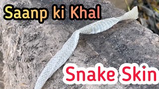 Snake Skin | Saanp ki Khal | Saanp ki Kechuli