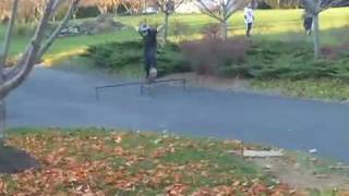 Meet The Curious Family