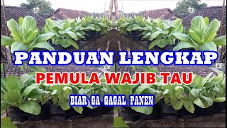 9 Tips & 10 Jenis Tanaman Sayur Cepat Panen Melimpah Bagi Pemula | How to Grow Vegetables at Home