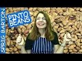 Cook THE BEST PINTO BEANS! Recipe: Texas Style Sprig Barton
