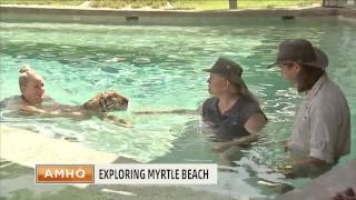 A guide to Myrtle Beach