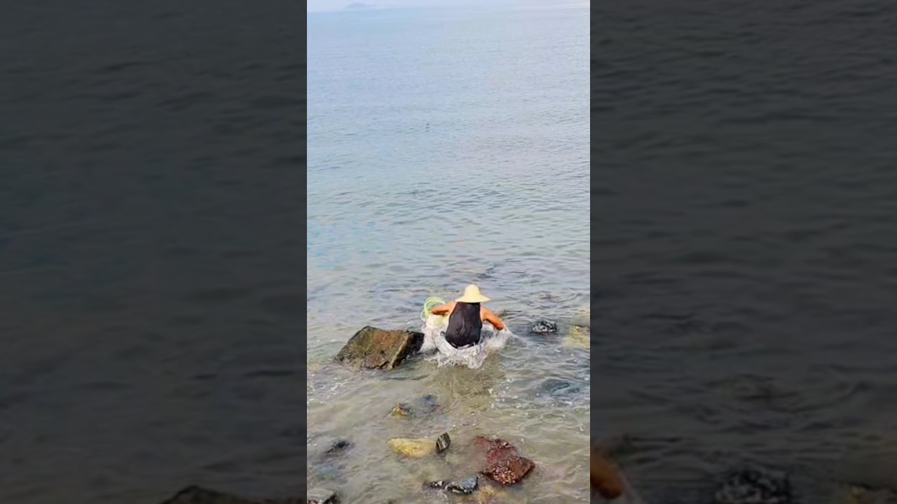 투망 던지려다 돌틈에 다리가! #shorts #투망 #시화방조제