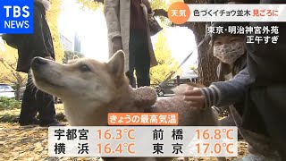 【11月24日 関東の天気予報】寒気の影響　寒さ本格化