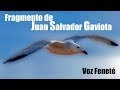 ¿Eres original o uno mas? Juan Salvador Gaviota Fragmento Richard Bach by Feneté