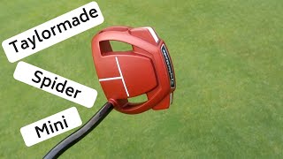 TAYLORMADE SPIDER MINI PUTTER REVIEW - USING TITLEIST AVX 2018 BALL