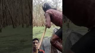 pace berburu rusa dirawa papua menggunakan perahu#mancing #anggerpapua